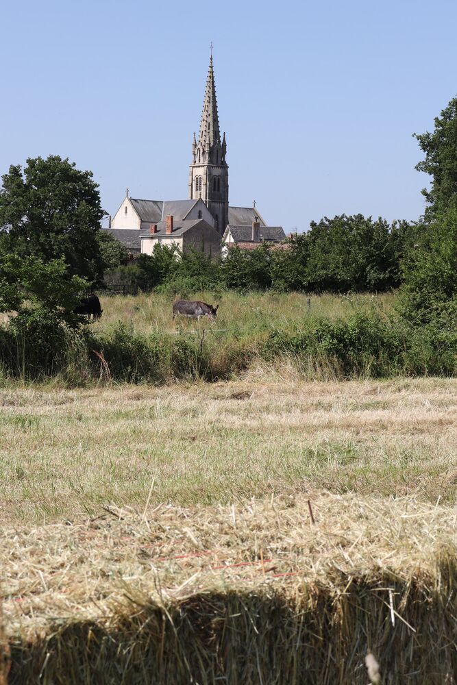 Coulonges Thouarsais
