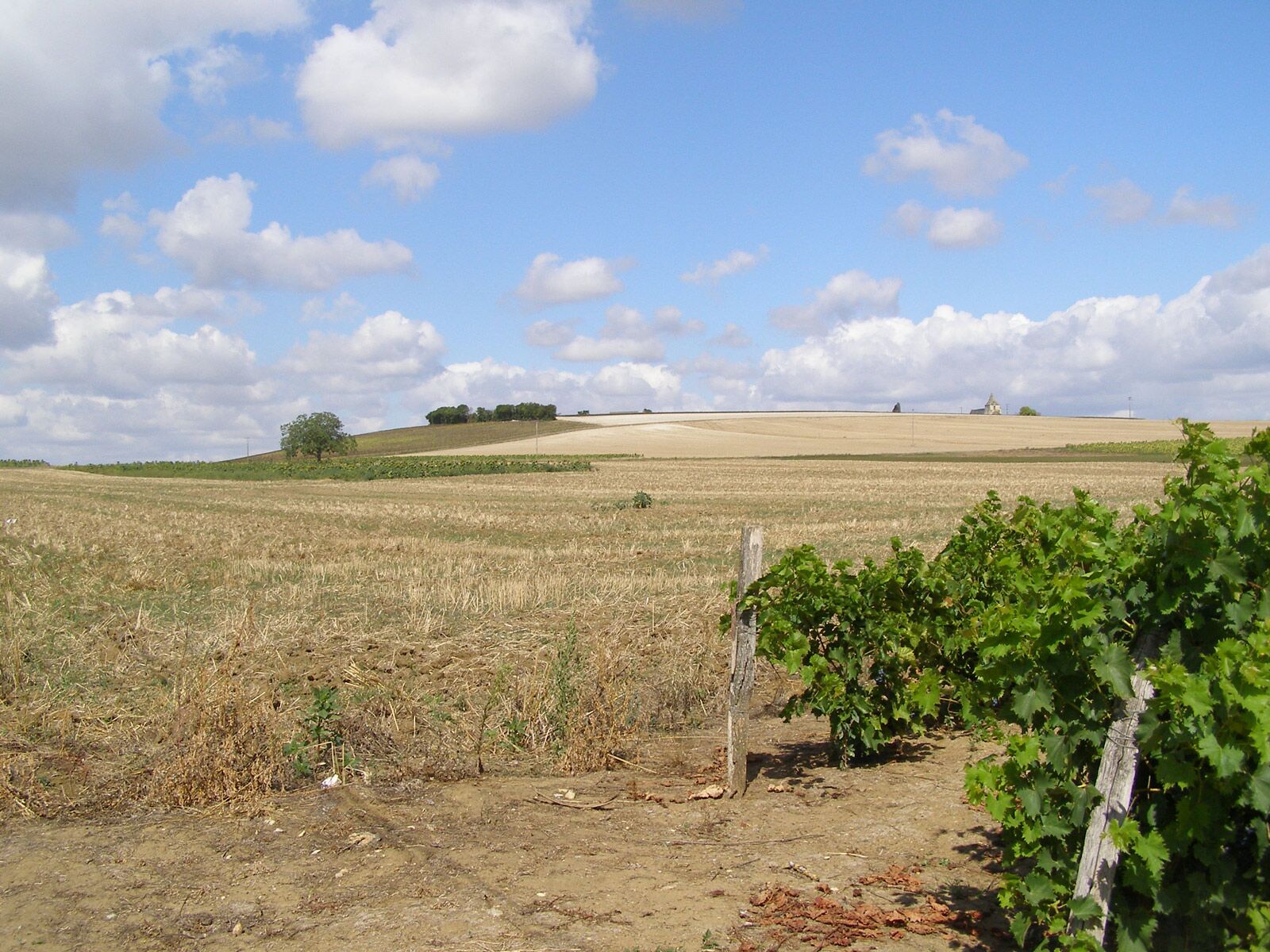 St Léger de Montbrun