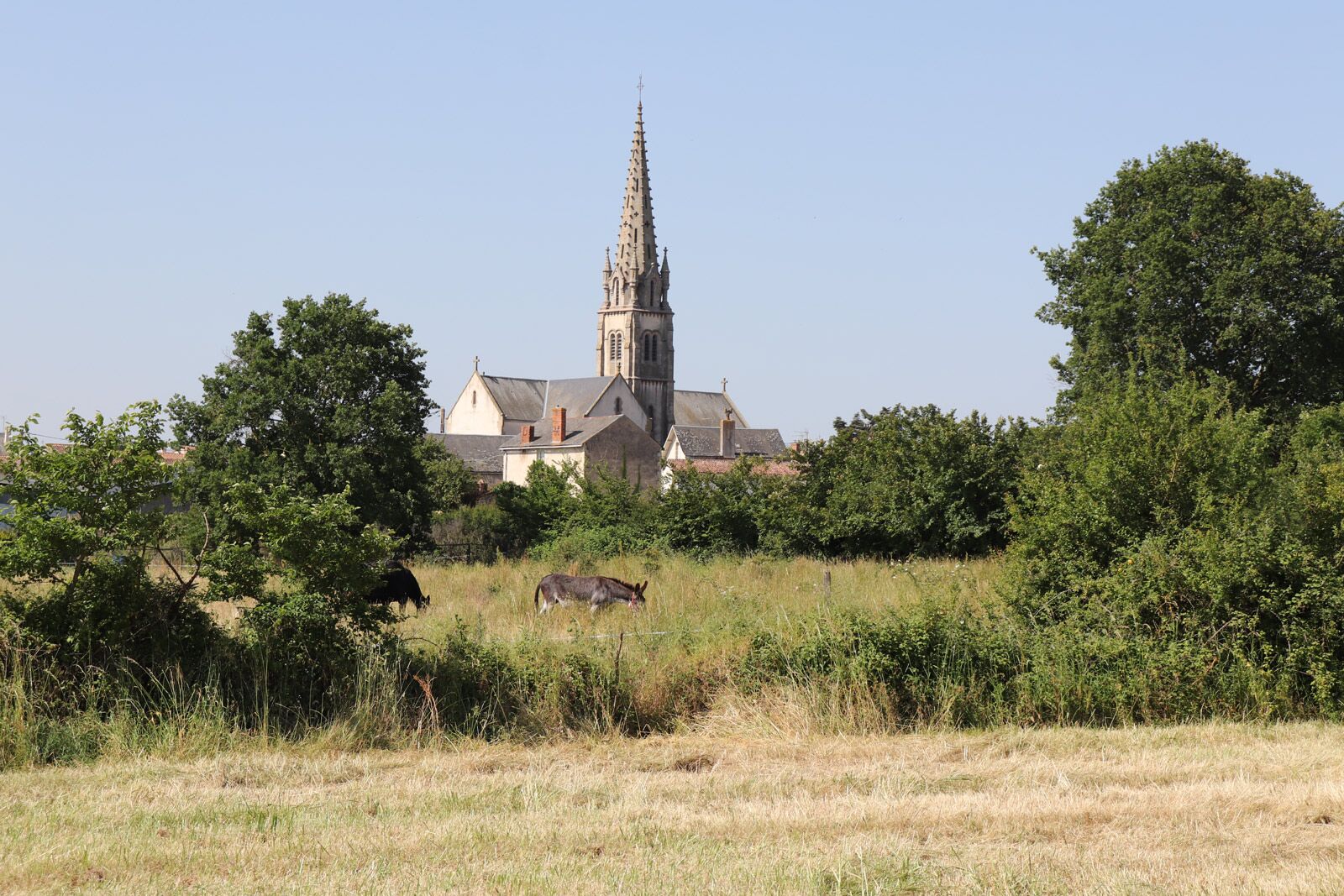 Coulonges Thouarsais